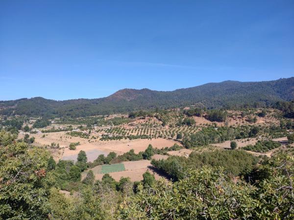 In Michoacán, Mexico, drying soil&hellip;