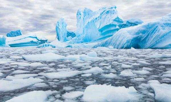 Antarctica’s plastic waste may spread…