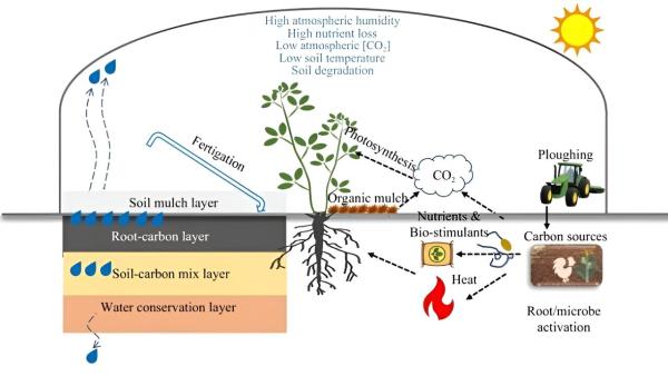 photo of Plastic-greenhouse agriculture: A novel soil profile design for global sustainability and enhanced crop production image
