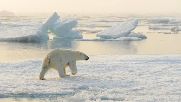 photo of Satellites confirm 1990s sea-level predictions were shockingly accurate image