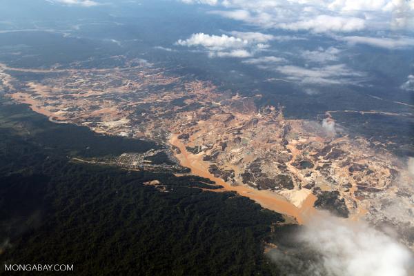 A closer look at Peru’s Amazon reveals…