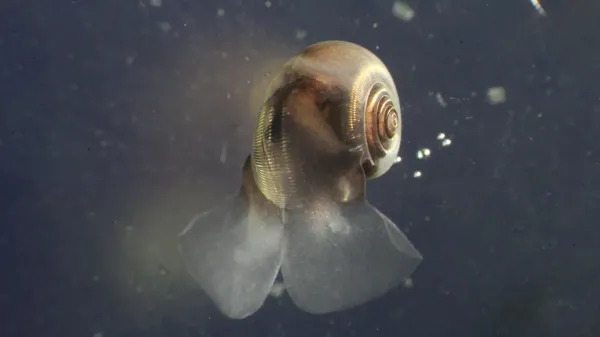 Scientists warn climate models are&hellip;