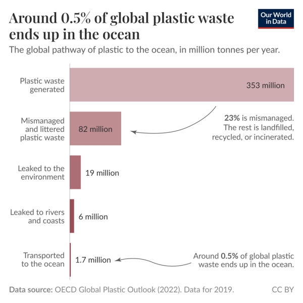 What share of plastic waste ends up in the ocean?