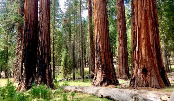 We can navigate conservation’s&hellip;