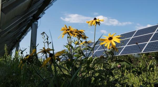 From Dumb To Dumber To Dumberer-est,…