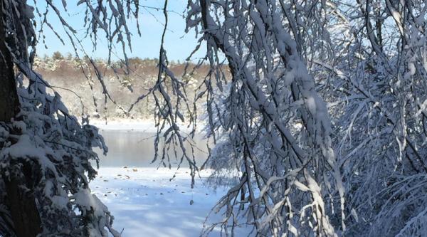 You’d Really Miss Renewables This…