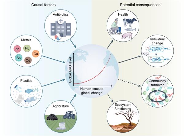 photo of Elevated levels of antibiotic resistance genes should be considered a new factor of global change, researchers say image