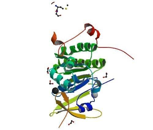 photo of Researchers solve structure of BRCA2 protein complex important in DNA repair image