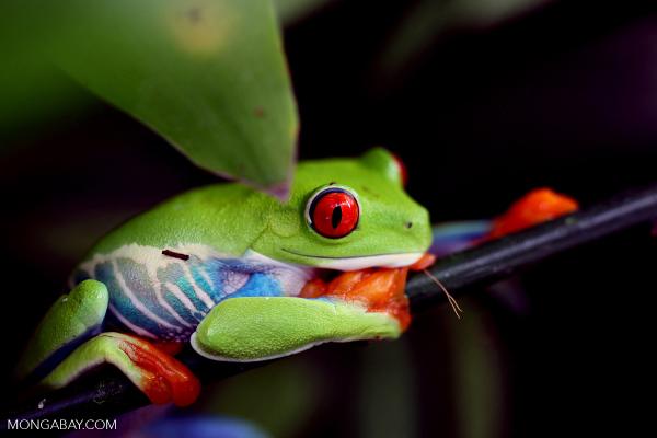 Online ads reveal scale — and gaps —&hellip;