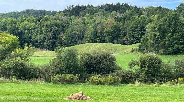 A Vacation Farmhouse In Vermont Inspires&hellip;