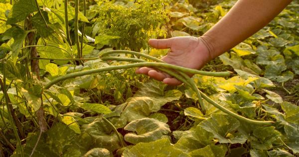 Food sovereignty for climate justice