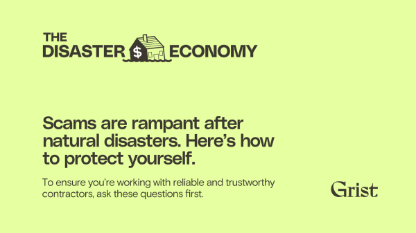 Scams are rampant after natural…