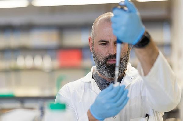 photo of Scientists identify burned bodies using technique devised for extracting DNA from woolly mammoths, Neanderthals image