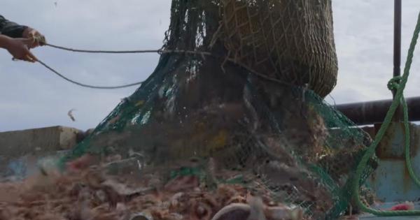 Bottom trawling ban 'must be top of…