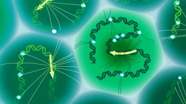Scientists finally read the hidden DNA…