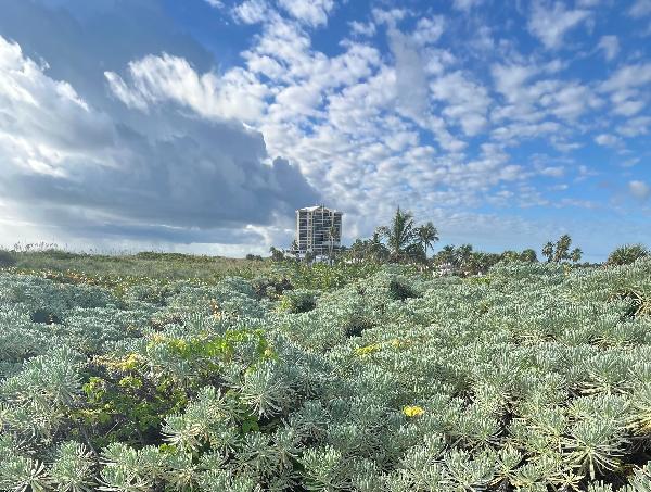 Here Are Some Crucial Climate Actions&hellip;