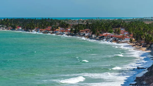 Scientists warn half the world’s…