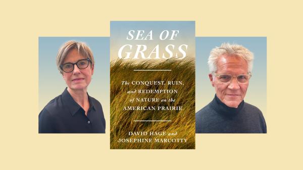 How America’s prairie was nearly…