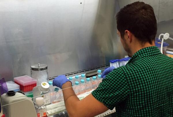 photo of Sensor spies hideouts for ​virus replication inside cell membranes image