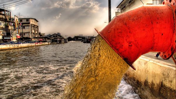 Marine heat waves and raw sewage combine to put human health…