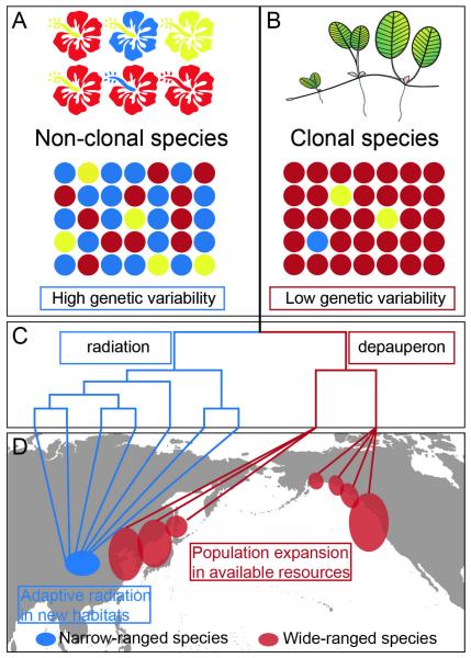 Plant lineage study provides insights…