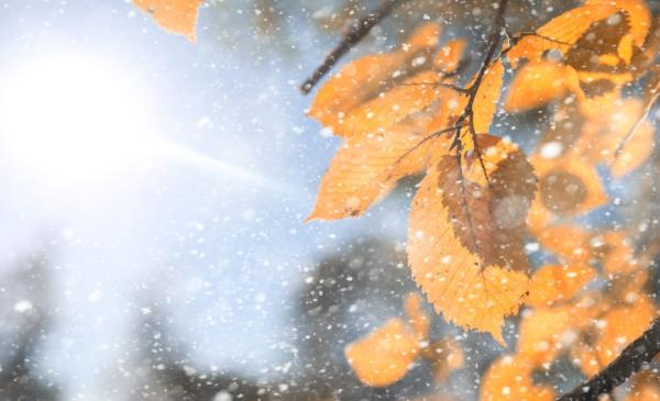 ESG reporting needs a refresh. Here’s…