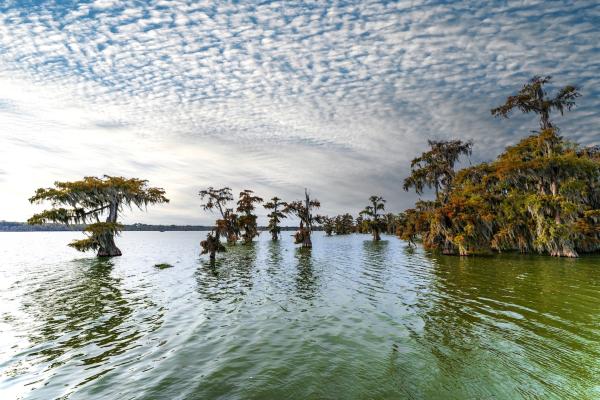 Behind the push to harmonize nature&hellip;