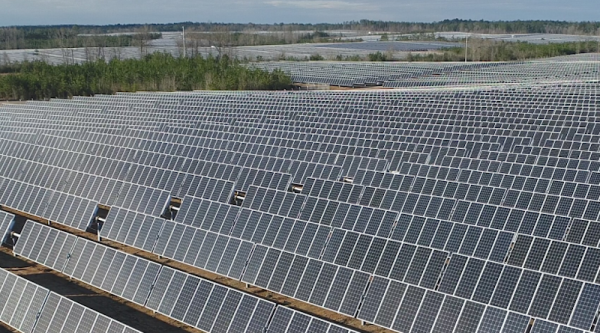 Trump Whacks Wind But Can’t Sack Solar…