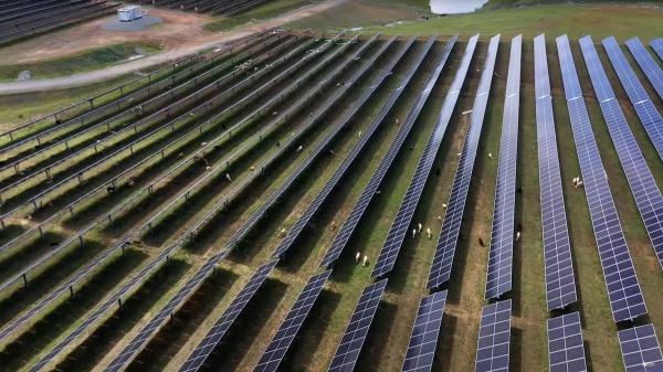 Agrivoltaic Farm Project in Virginia…