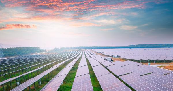 IEA Report Claims Fossil Fuel Imports…
