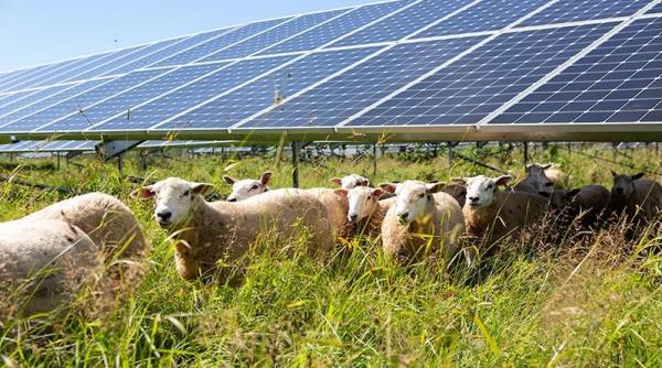 SEIA Says Solar Still Cheapest Source Of…