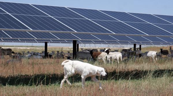 Giant Solar Power Plant In Texas Gets A&hellip;
