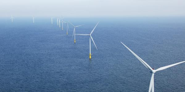 New York slams the brakes on offshore…