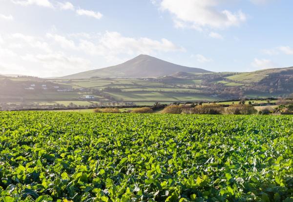 Climate Change Degrades Nutritional…