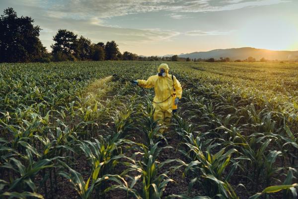 Common Weedkiller Ingredient Harms Gut…