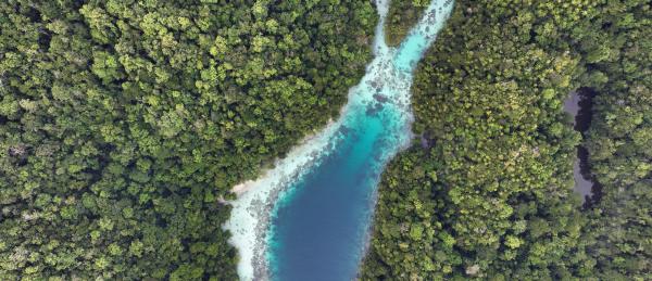 Precision conservation: the rise of place-specific&hellip;