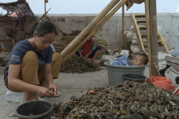 Climate change forces Jakarta fishing…