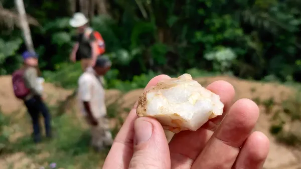 Lost for 150,000 years: Rainforest&hellip;