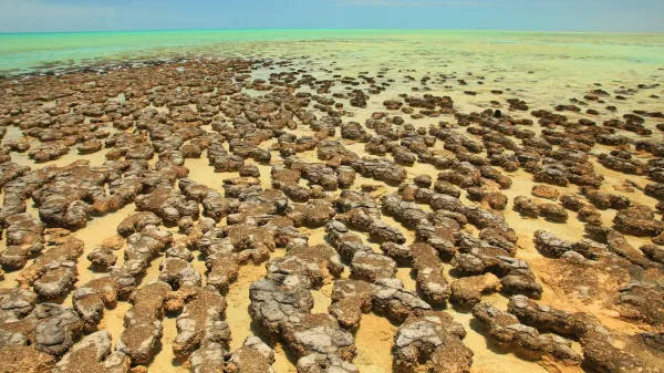 Ancient asteroid craters may have…
