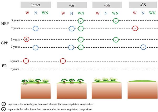 photo of Study shows effects of vegetation composition, warming and nitrogen deposition on peatland carbon sink function image