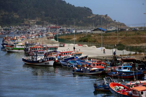 Debate over Chile’s fisheries law…