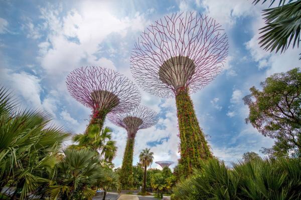 Singapore’s regreening is a model for…