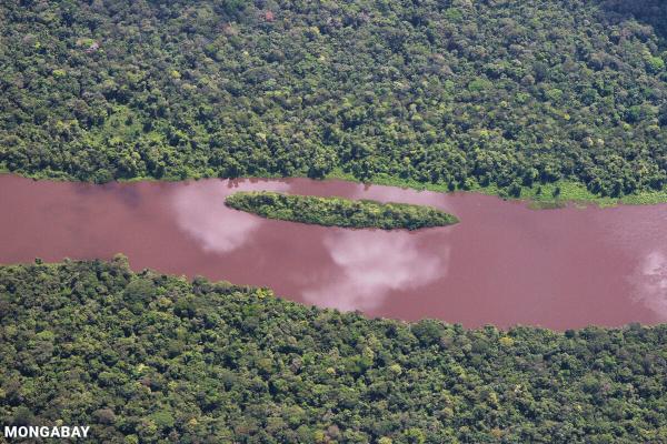 Half a million hectares of rainforest…