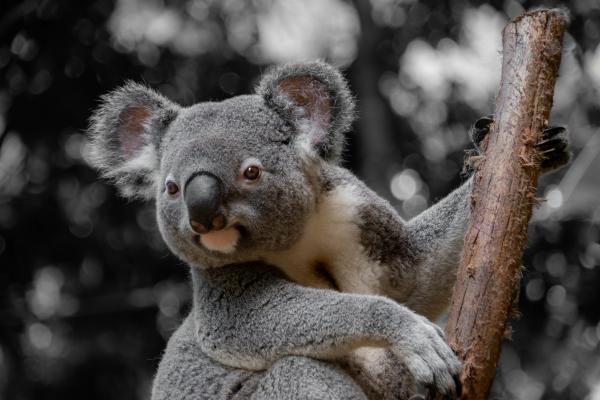 Australia’s new national park links&hellip;