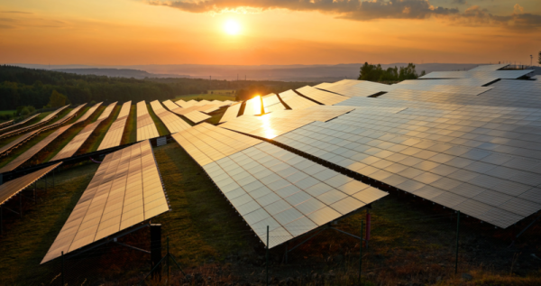 The US Solar Industry Is Safe In Texas…