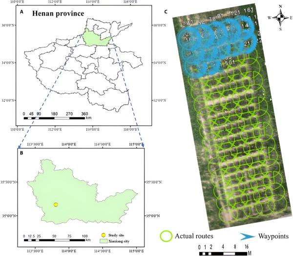 photo of The crucial role of realistic 3D canopy models in light interception analysis for crop resilience and sustainability image