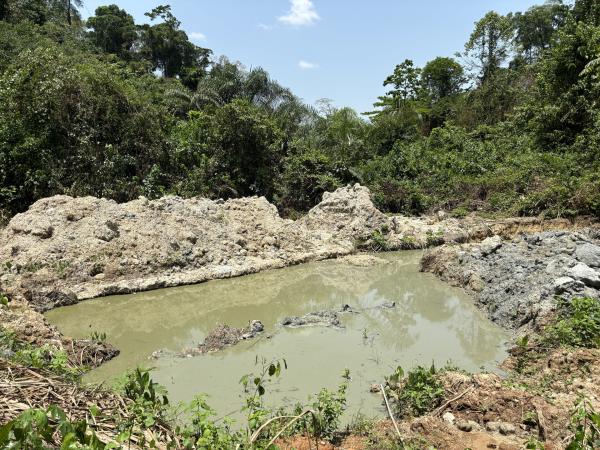 photo of Increased demand for metals and minerals needed for clean energy transition puts 4,000+ species at risk, finds study image