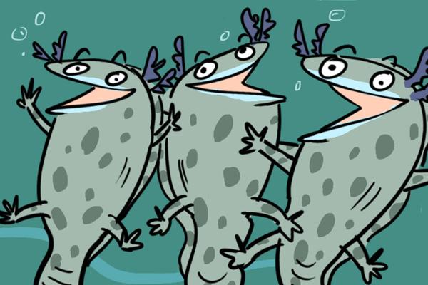 The return of the axolotl (cartoon)