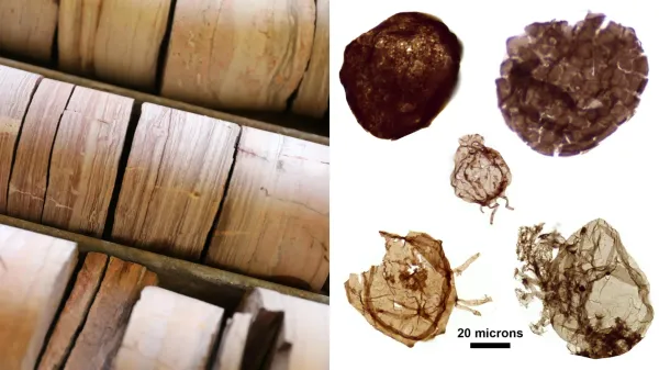 1.7-billion-year-old fossils reveal a…