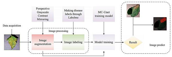 photo of Transforming tomato crop health: Introducing a method for advanced leaf disease detection and segmentation image